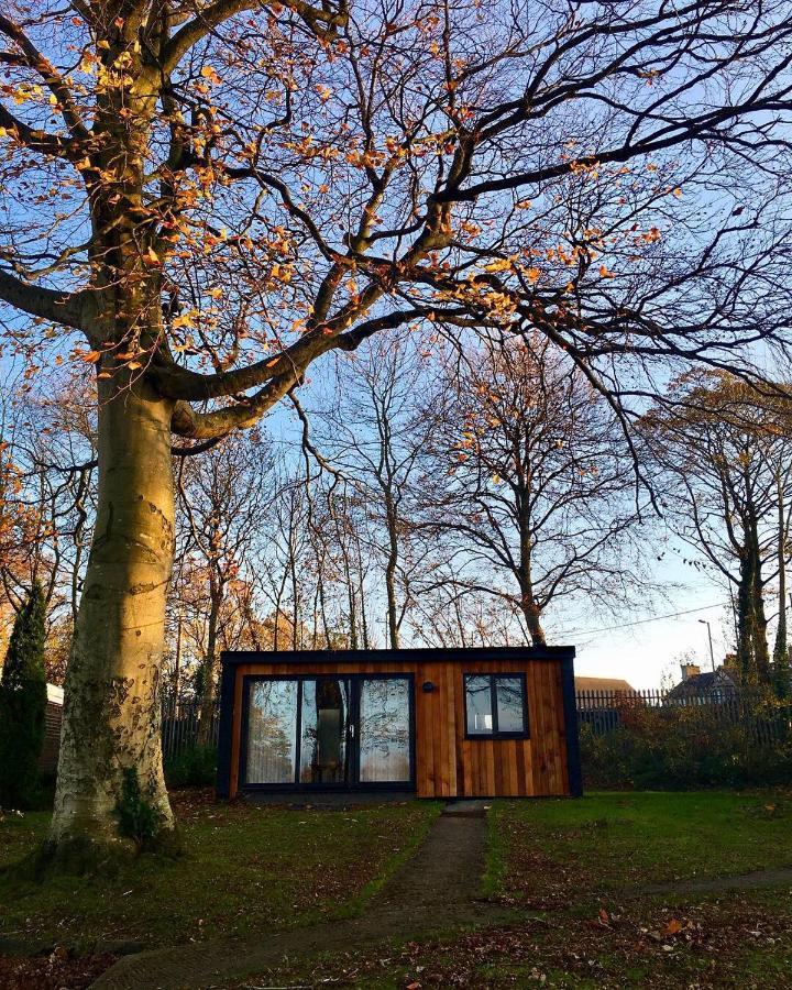 Cozy Snowdonia Chalet Caernarfon Buitenkant foto